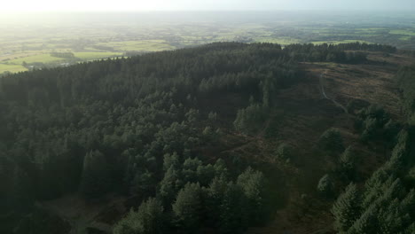 Baumwipfelschwenk-über-Pinienwälder-Zu-Patchworkfeldern-Im-Beacon-Fiel-Country-Park