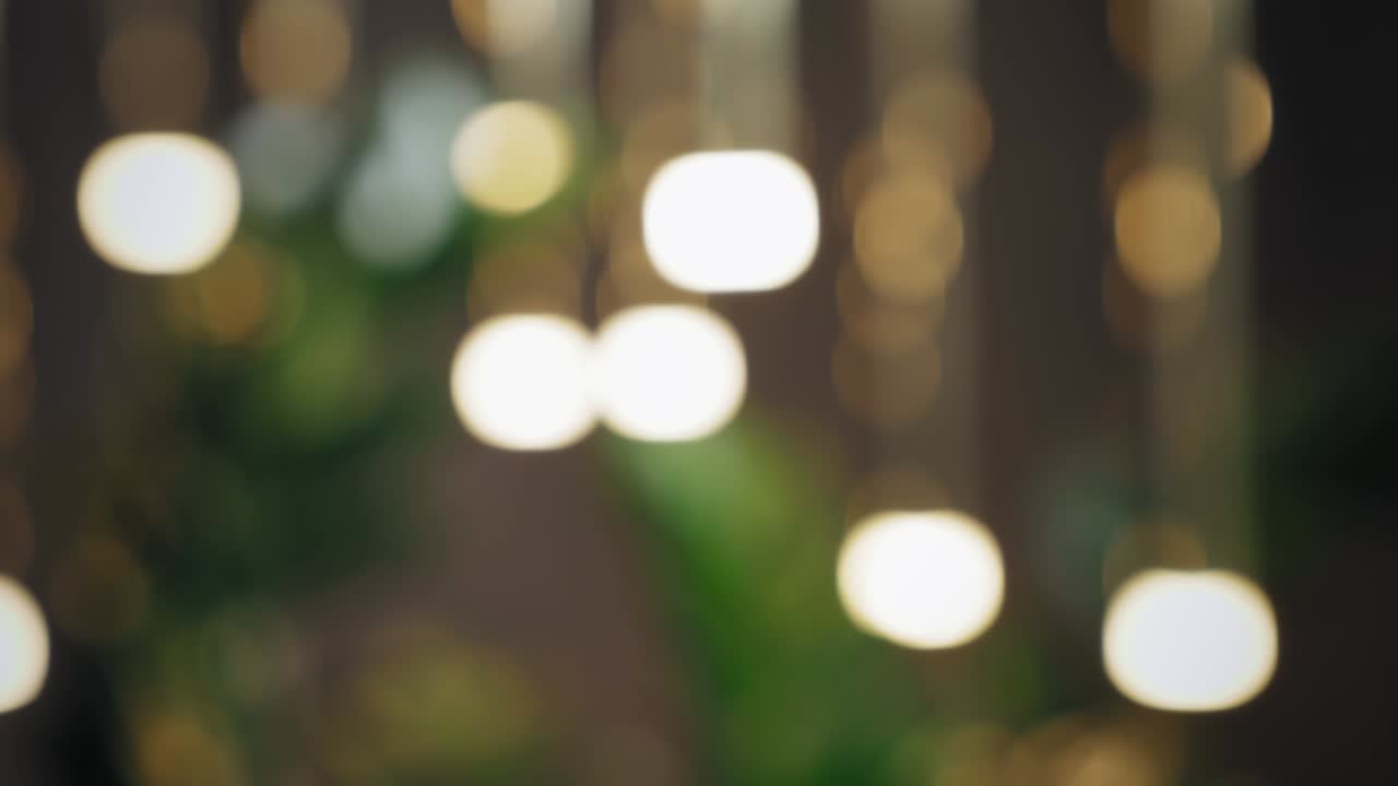 fondo bokeh de luces borrosas y plantas verdes