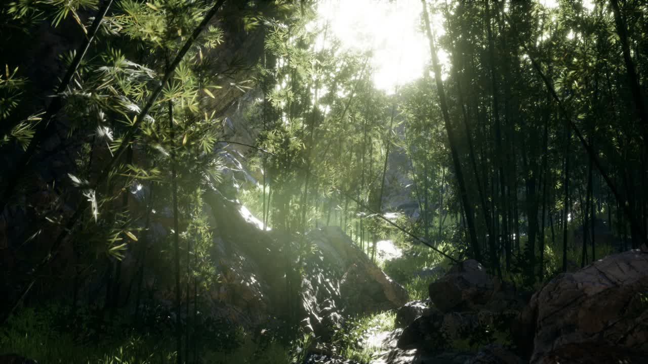 hojas verdes exuberantes de bambú cerca de la orilla de un estanque con piedras.