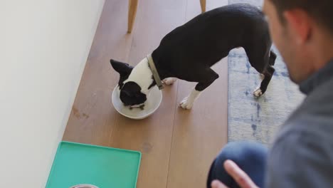 caucasian man training and feeding his dog at home