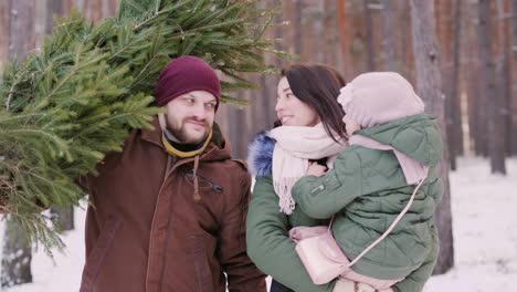 dos padres con un niño conduciendo un árbol de año nuevo en un trineo en un bosque nevado video 4k