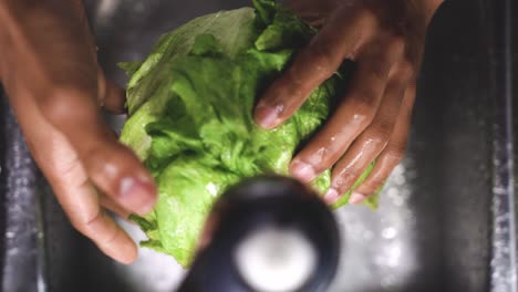 crop man washing iceberg salad in sink