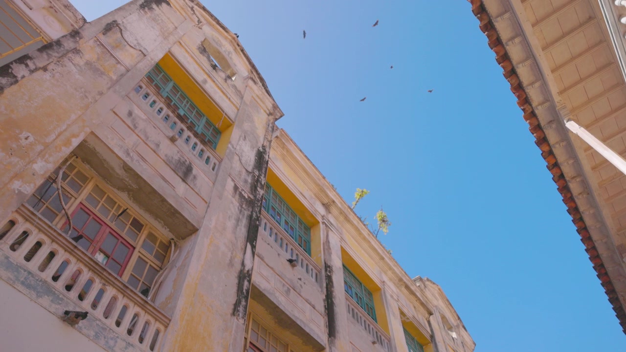 Falcões circulando no alto passando por edifícios coloridos, Cartagena Colômbia