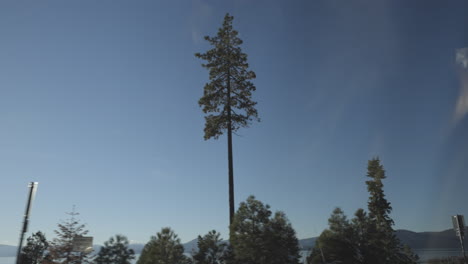 los abetos douglas pasan contra un cielo azul claro y con las montañas del lago tahoe en el horizonte visto desde el lado del conductor en un viaje por carretera