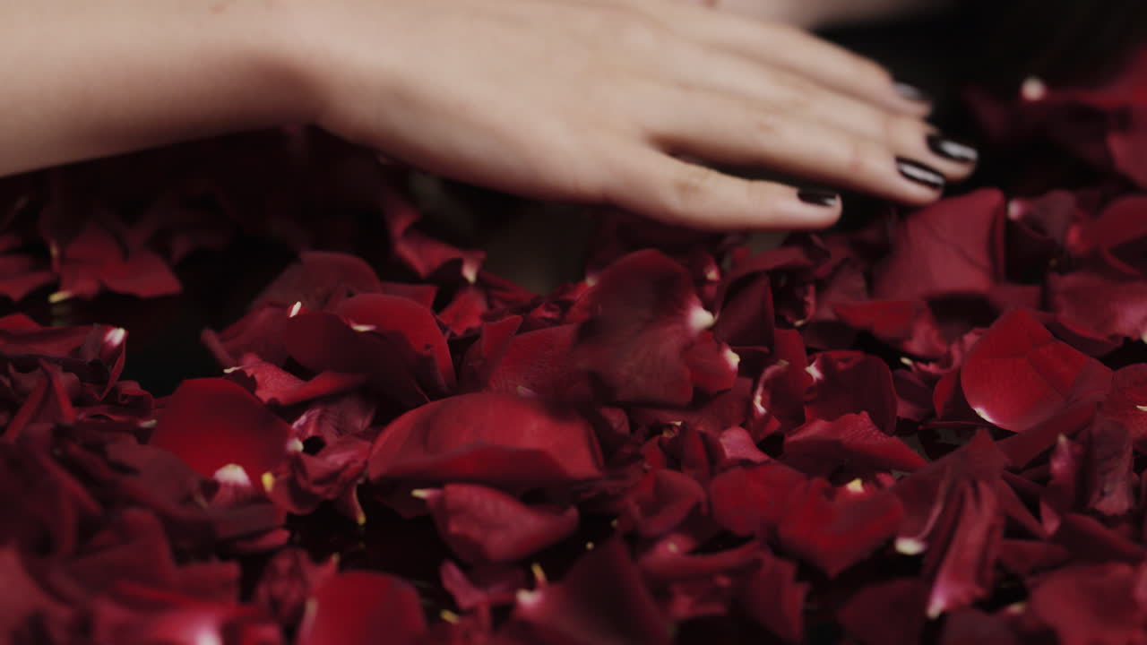 de cerca mano de mujer jugando con pétalos de rosa roja sensual mujer soñando con fantasía íntima romance indulgente deseo en el concepto del día de san valentín