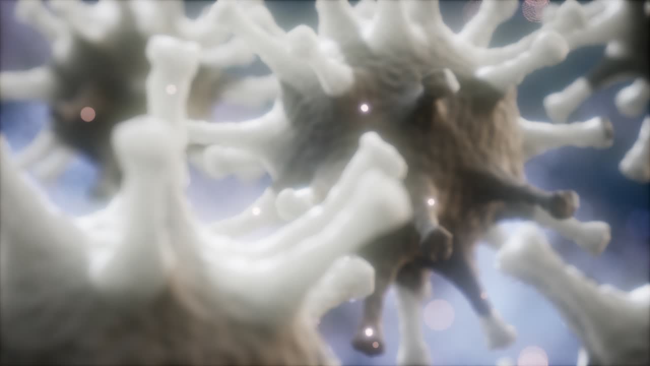 코로나 바이러스 ncov 호흡기 바이러스 개념