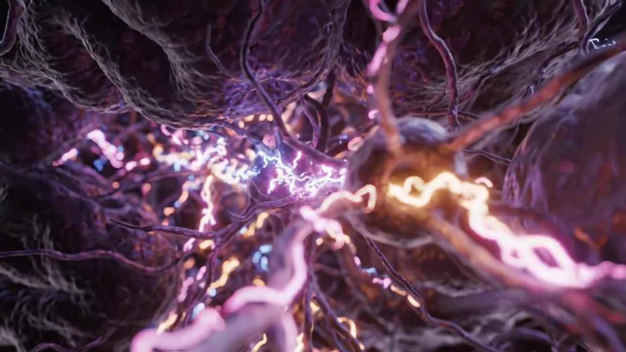 Exploring the Intricate World of Neurons: A Visual Journey Through the Structure and Function of Neural Networks and Their Electrical Signaling Mechanisms