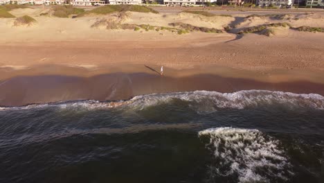 hombre caminando solo en la playa al amanecer con edificios de la ciudad en el fondo, punta del este en uruguay