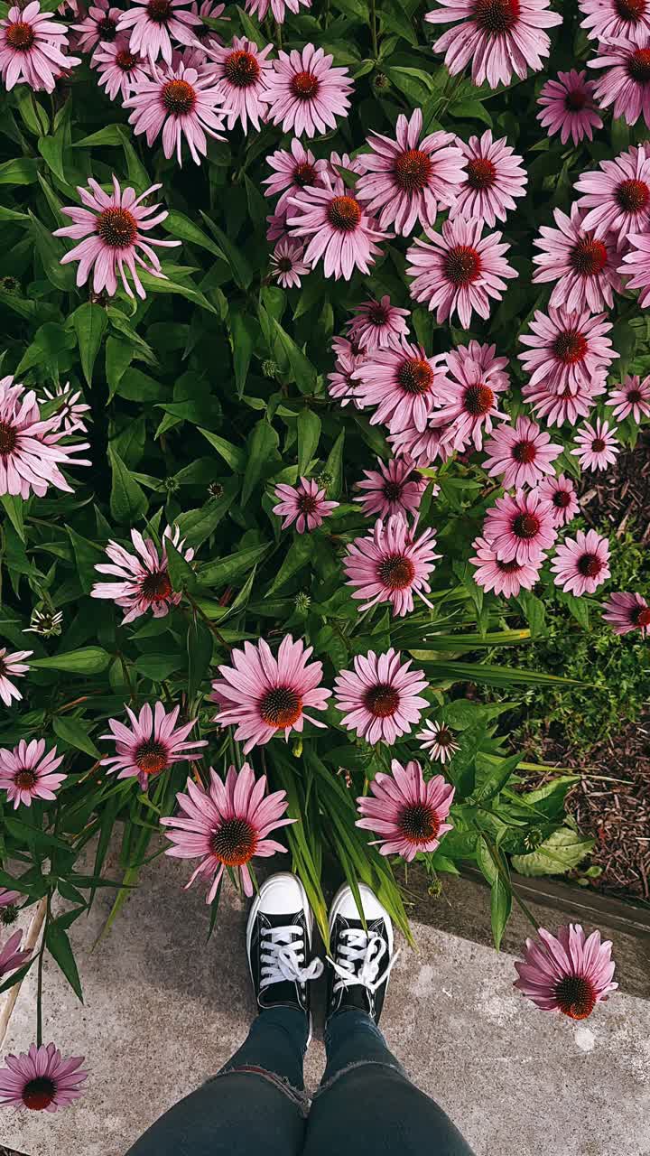 flores rosas y zapatillas de deporte