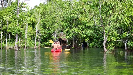 two people kayaking in lush, green surroundings