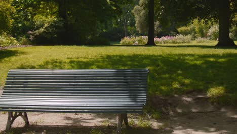 camera panning over an empty bench at the center of a park on a bright sunny day