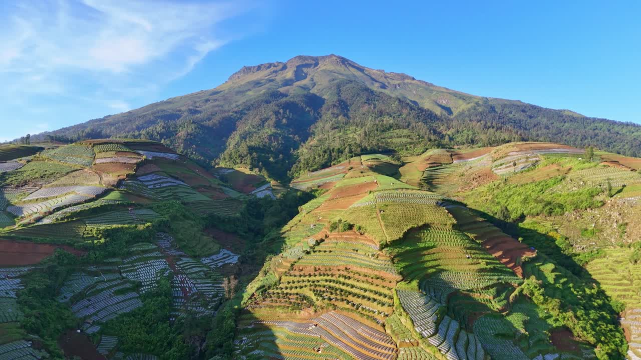 Aerial nature scenery of Mount Sumbing with agricultural field and blue sky in sunny morning, Central Java, Indonesia.