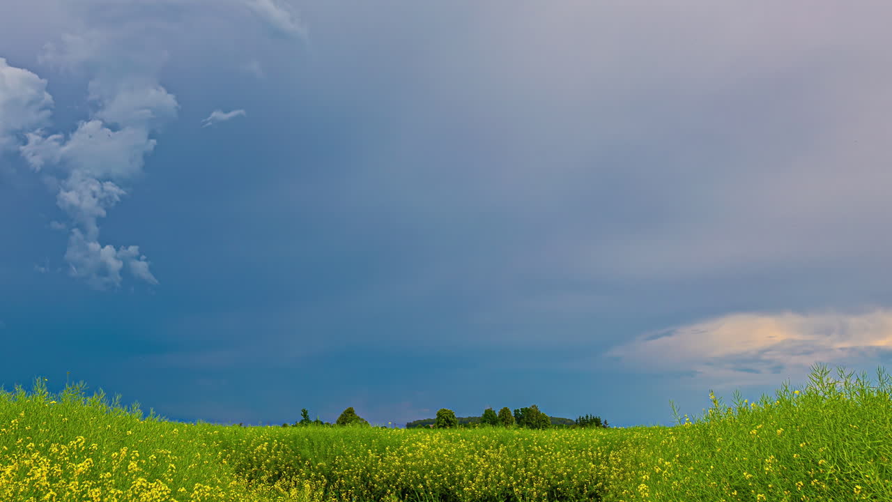 폭풍우 전에 하늘에서 형성되는 폭풍우 구름의 시간 흐름과 꽃이 있는 초록색 잔디