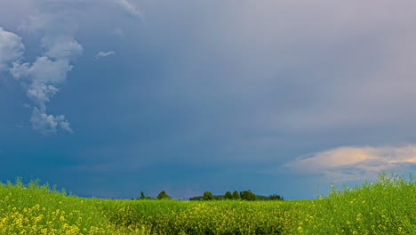 Time-lapse-De-Nubes-Tormentosas-Formándose-En-El-Cielo-Antes-De-Una-Tormenta-Con-Un-Campo-De-Césped-Verde-Con-Flores