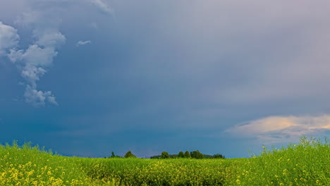 timelapse of stormy clouds forming in the sky before a storm with a green grass field with flowers