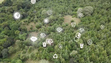 Drone-view--Africa-Forest--Kenya-and-Tanzania-Bush-fire-on-slopes-of-mount-Kilimanjaro-Loitokitok-Kenya