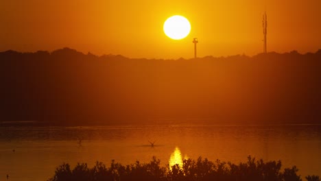 silhouetted birds on calm lake water flap wings and fly with golden sun setting in background