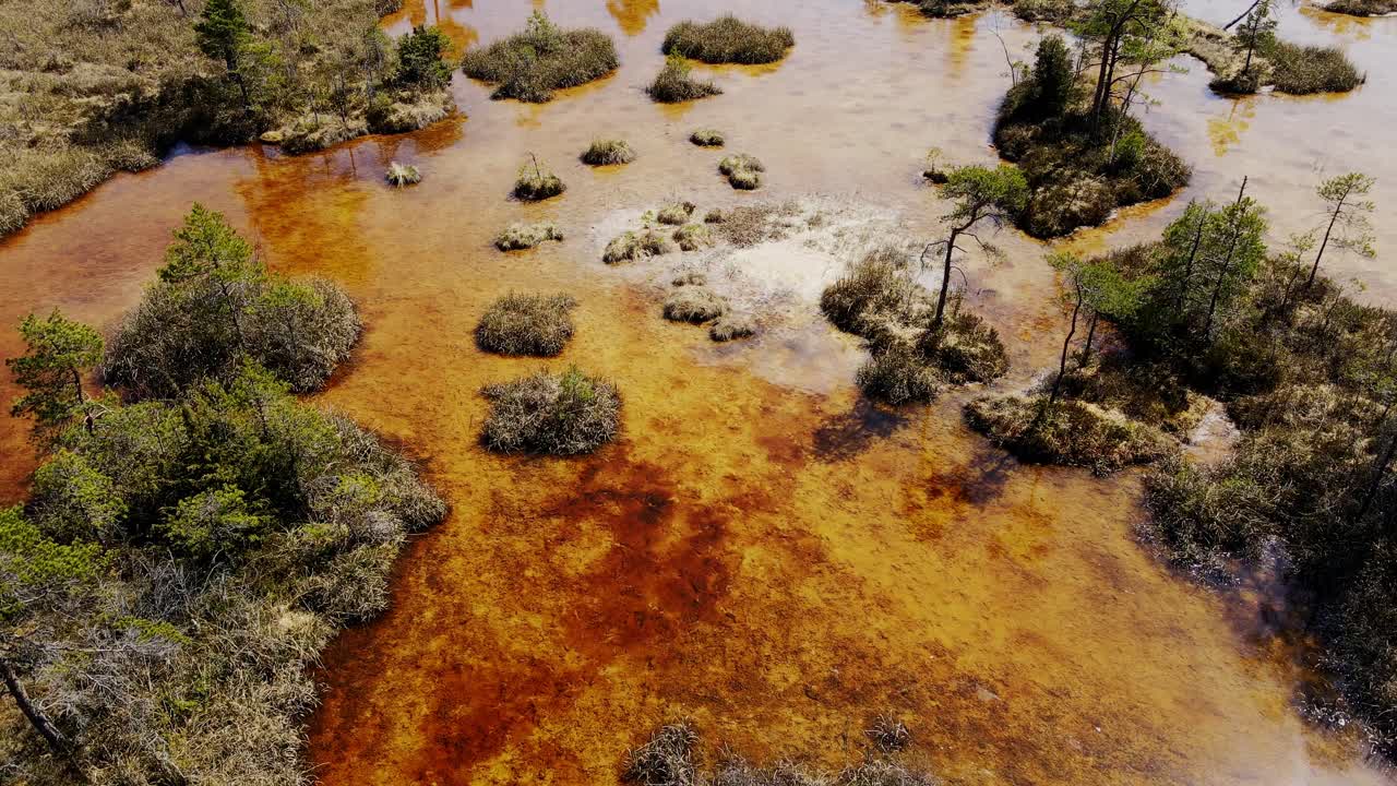 Belgesel için Ķemeri'deki kükürt renkli sulak alanların mükemmel sinematik karesi