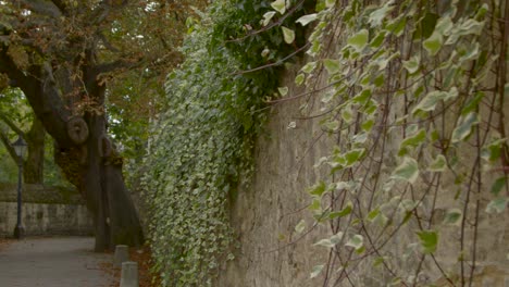 Tracking-Shot-of-Scenic-Alleyway-in-Oxford-