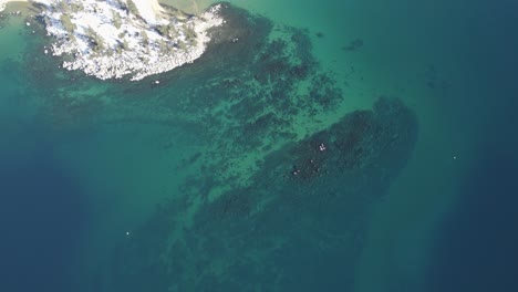 un dron de alto vuelo, 4k disparado sobre el lago tahoe, california, durante la temporada de invierno