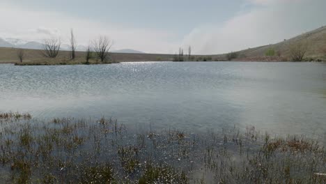 Loch-Cameron-near-Twizel,-NZ-in-bright-sunshine