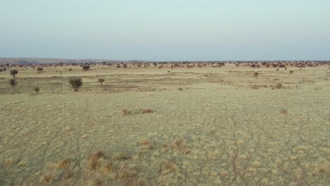 Desert-arid-area-of-Namibia,-Africa.-Aerial-forward