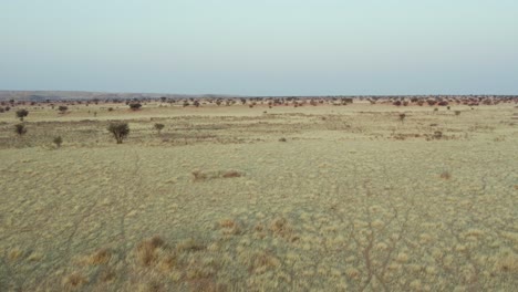 zona árida del desierto de namibia, áfrica. aéreo hacia adelante