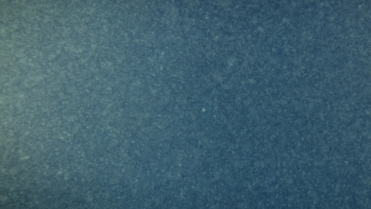 abstracto fondo bajo el agua. agua sucia de cerca.