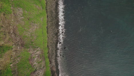 seabirds soar above green cliffs of grimsey island