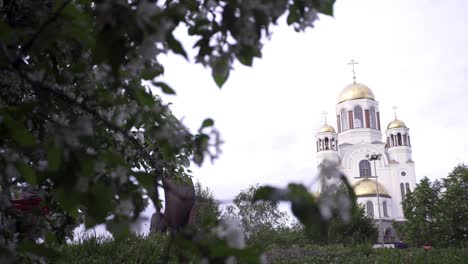 árboles en flor delante de una iglesia