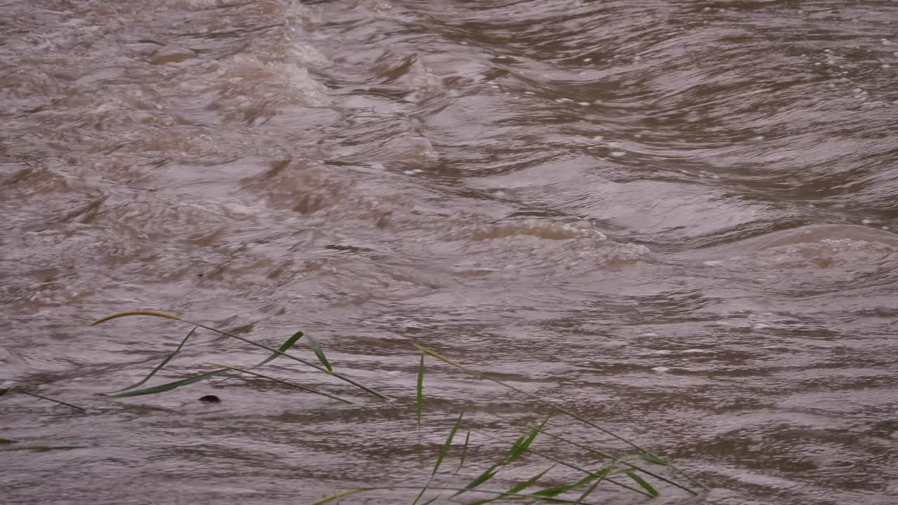 Gold Coast, Queensland, 16 February 2024 - Close shot of flooding across Hardy's Road in Mudgeeraba after heavy rains continue to lash South East Queensland, Australia