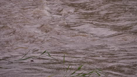 Gold-Coast,-Queensland,-16-February-2024---Close-shot-of-flooding-across-Hardy's-Road-in-Mudgeeraba-after-heavy-rains-continue-to-lash-South-East-Queensland,-Australia