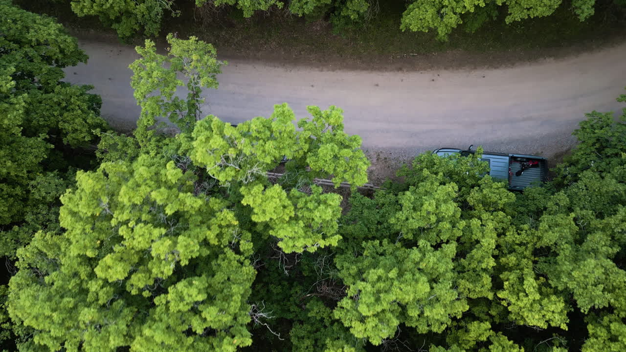 숲 속 의 나무  ⁇  에 주차 된 차량 들 과 함께  ⁇  도로 의 촬영 을 드러내는 것