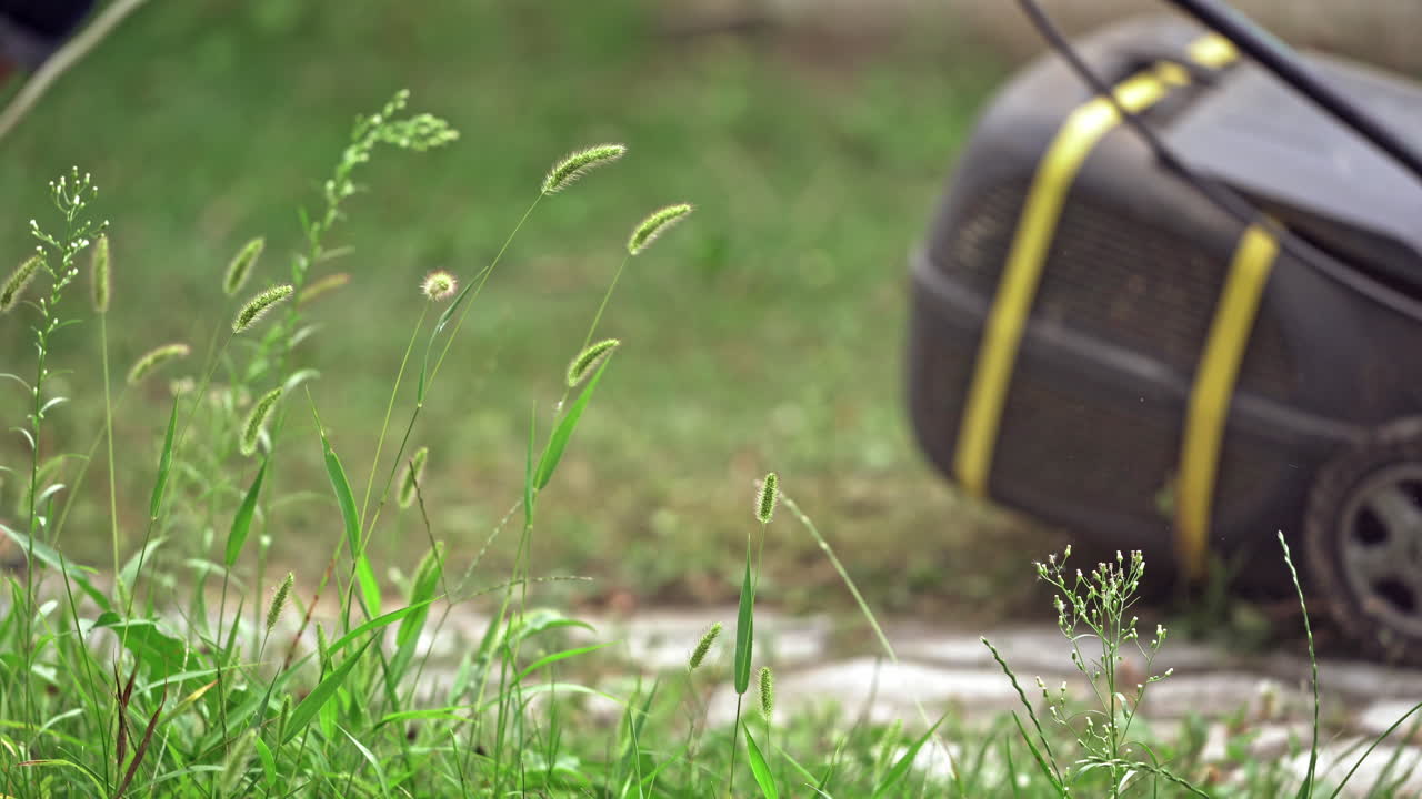 Electric lawn mower in process outdoors. Young worker uses lawn mower to mow green grass in the garden in summer.