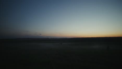 person walking through a foggy field at sunset