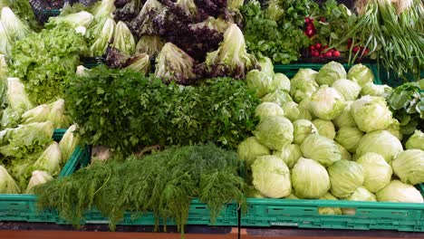 fresh vegetables at grocery store