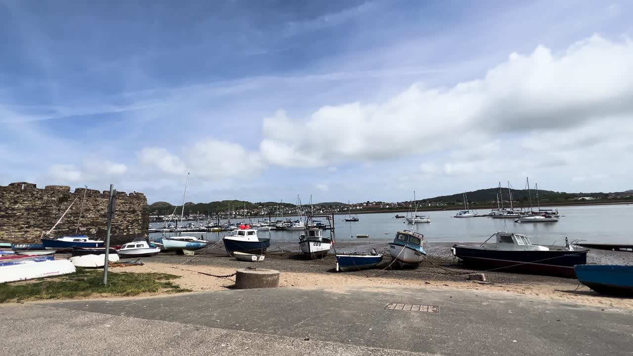 Bird Flying Over Conwy Harbor Seaside Beach