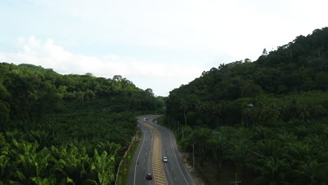 Luftflug-über-Der-Straße-In-Der-Provinz-Krabi,-Berge-Mit-Palmen,-Thailand