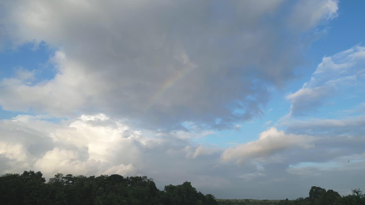 Rainbow over Cloudy Sky and Trees