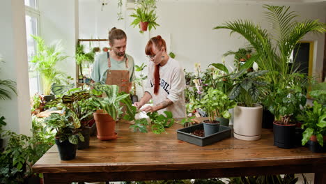 two people examining plants in a plant shop