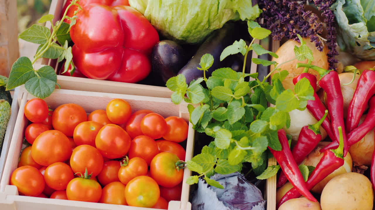 농민 시장에서 신선한 야채와 함께 카운터의 팬 샷