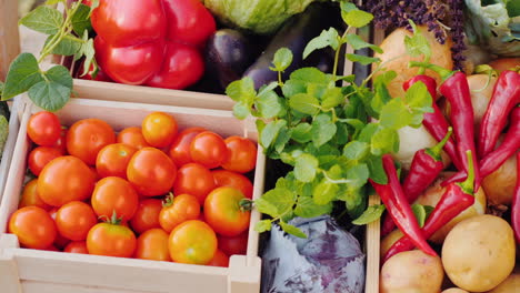 toma panorámica de un mostrador con verduras frescas en un mercado de agricultores