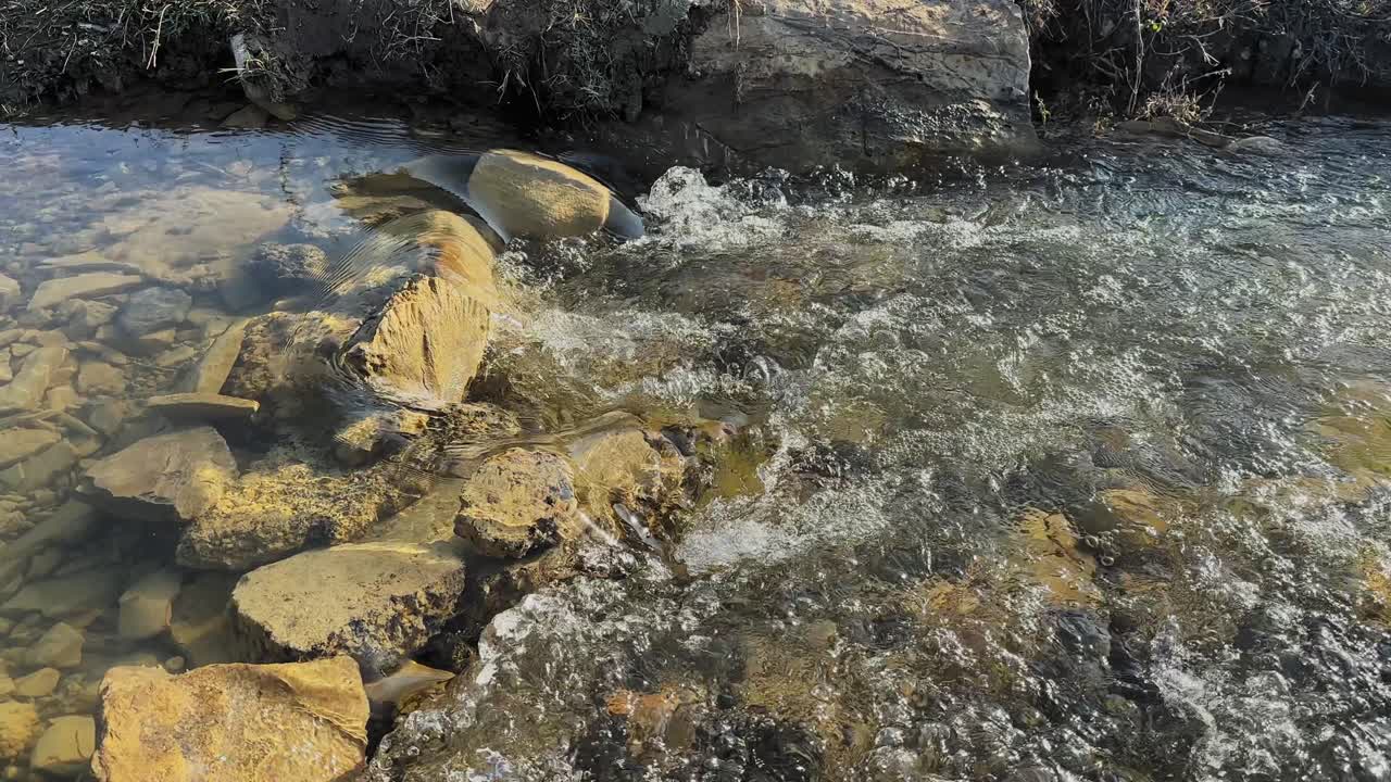 Clear freshwater stream flows over smooth sunlit stones, creating sparkling ripples and gentle turbulence as shallow water moves steadily through a natural rocky channel!