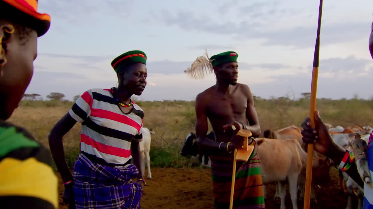 A Karamojong Man Treating a Sick Cow With Traditional Medicine in Uganda, Africa - Close Up