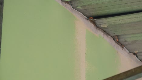 decorator using a roller to apply light green paint to a wall