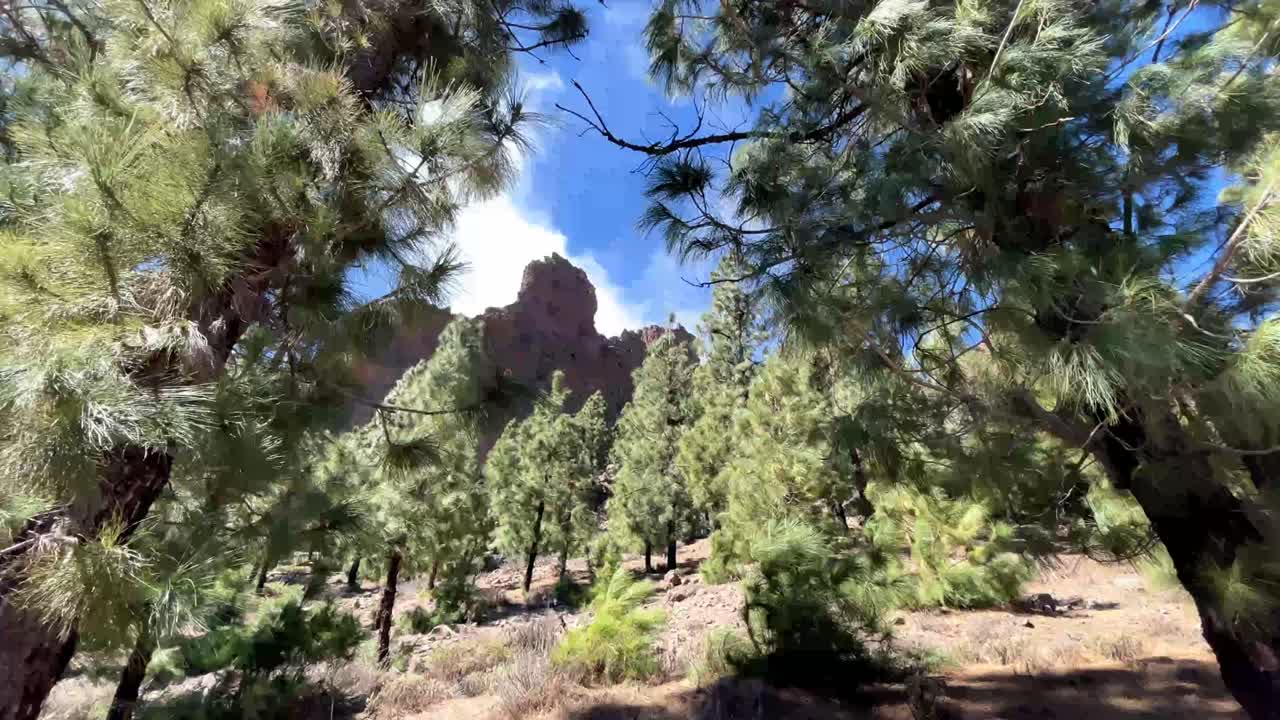 Tenerife Travel Guide | Why Tenerife Is MORE Than Just The Resorts!