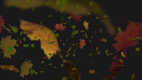 animation of autumnal leaves falling on black background