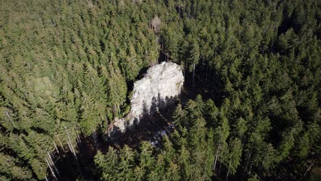 Ein-Riesiger-Felsen-Mitten-Im-Wald