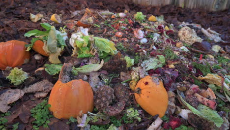 Backyard-Composting---Compost-Pile-With-Layers-Of-Organic-Matter-And-Soil---close-up