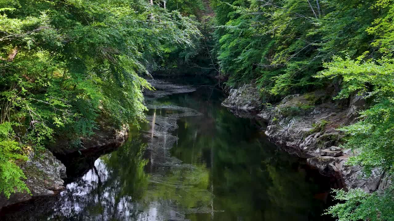 Lush green forest and calm river, daylight, smooth camera pan, serene natural landscape, Highlands